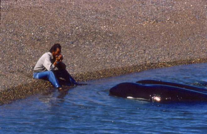 Roberto Bubas, guardafauna de Patagonia (Argentina), setnado en la orilla observando reflexivo a una orca, a unos metros de su lado, que inspiró la película 'El faro de las orcas'.