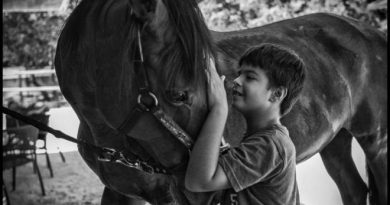 Liberto, con hiperactividad, cepilla a su caballo que le ayuda a relajarse.