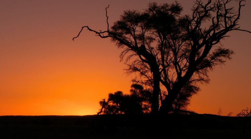 Atarceder en Namibia