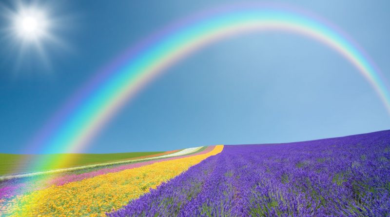 Arcoiris sobre campos multicolor