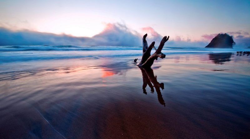 Nubes sobre la playa vespertina. Tronco con forma de tridente clavado en la arena, se aprecian los reflejos del sol del ocaso y de las nubes sobre la arena mojada