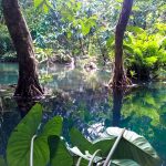 Aguas turquesas en la jungla de Laos