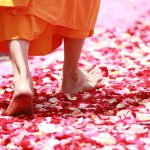 Monje budista caminando descalzo sobre pétalos de rosa 458491 (Fuente: pixabay.com - Honey Kochphon Onshawee)